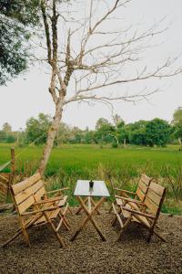 duas cadeiras e uma mesa em frente a um campo em VayalMonk - Alleppey Island Isolated Villa resort em Alappuzha