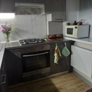 Il comprend une cuisine équipée d'une cuisinière et d'un four micro-ondes. dans l'établissement "Чернігівська тиша", à Tchernihiv