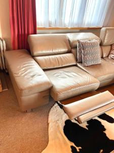 a brown leather couch in a living room at Gemütliches Chalet an bester Lage in Jona
