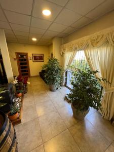 uma sala de estar com vasos de plantas e uma janela em Hotel San Enrique em Salamanca