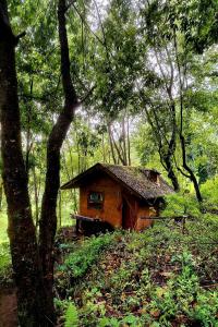 eine kleine Holzhütte inmitten eines Waldes in der Unterkunft Doi PuMuen LAHU Homestay in Ban Wiang Kok