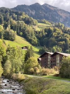 a building on a hill next to a river at Studio , Val-d’Illiez in Val-d'Illiez