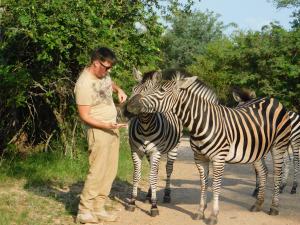 a man standing between two zebras on a road at Adventure Bush Manor in Marloth Park