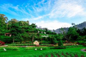 a group of animals grazing in a garden at COZY HOME @BETONG in Betong