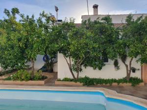 una casa con un albero di limoni e una piscina di Cortijo Rural El Salado a Castillo de Locubín