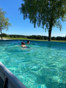 twee mensen zwemmen in een zwembad van blauw water bij Bauernhof Mittereibenberger in Liebenau