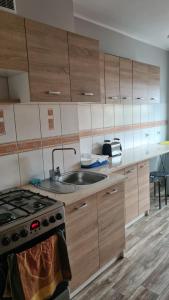 cocina con armarios de madera, fregadero y fogones en Polna 40, en Zduny