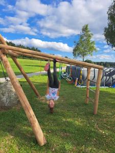 Herní místnost nebo prostor pro děti v ubytování Bauernhof Mittereibenberger