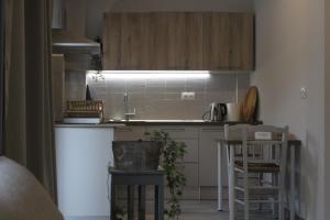 a small kitchen with a sink and a counter at City Center Apartment 1 in Alexandroupoli