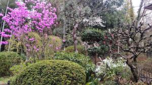 Giardino di Guesthouse Oomiya base 大宮基地別荘
