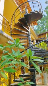 a spiral staircase in front of a building with plants at Paradise Le Tamarin in Auroville