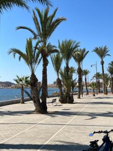 a row of palm trees on a sidewalk next to the water at Apartament Claudia I in Puerto de Mazarrón
