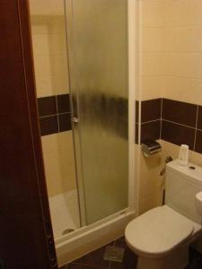 a bathroom with a toilet and a shower at Apartment Lasan in Vodice