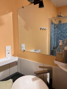 La salle de bains est pourvue de toilettes et d'un grand miroir. dans l'établissement Duplex terrasse, à Fréhel