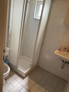 a bathroom with a shower and a toilet and a sink at Villa Dimitris near the beach! in Karavómilos