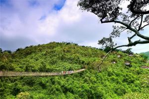 un grupo de personas en un puente colgante sobre una colina en Yalong Bay Earthly Paradise Birds Nest Resort （Mountain Villas) en Sanya