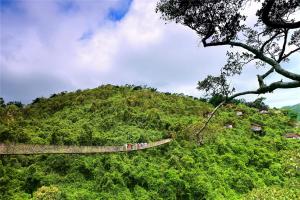 Eine Gruppe von Menschen auf einer Hängebrücke über einen Hügel in der Unterkunft Yalong Bay Earthly Paradise Birds Nest Resort （Mountain Villas) in Sanya