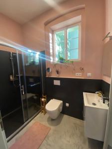 a bathroom with a toilet and a sink and a shower at CARLS AUTHENTIC B&B in Karlovy Vary