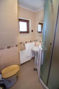 een badkamer met toilet en wastafel bij Casa Bălan in Fundăţica +72 foto's
