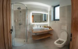 uma casa de banho com um chuveiro, um lavatório e um WC. em Hortus Vita Wellness Apartments em Lipnice nad Sázavou