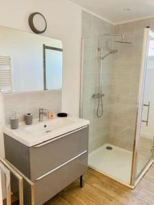 a bathroom with a sink and a shower at L'Escapade à Coligny in Coligny