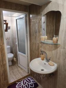 a bathroom with a sink and a toilet and a mirror at Апартамент Родопи in Smolyan