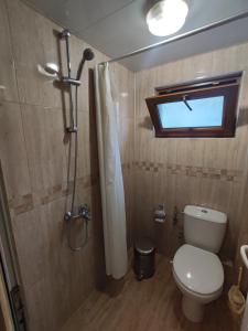 a bathroom with a toilet and a shower with a window at Апартамент Родопи in Smolyan