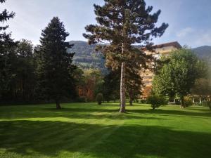 a green field with trees and a building in the background at Ferienwohnung Kärnten Ossiacher See zwei Zimmer Appartement direkter Seezugang Strand beheizte Schwimmhalle in Bodensdorf