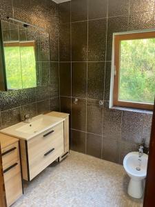 a bathroom with a sink and a toilet and a window at Ferienhaus Maximilian in Gamlitz