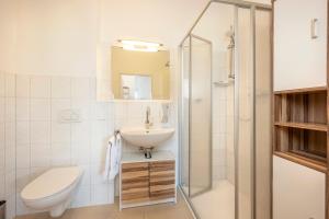 ein Bad mit einem Waschbecken, einem WC und einer Dusche in der Unterkunft Apartment Gitti Obermoser in Radstadt