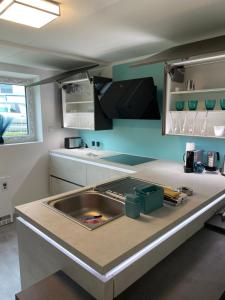 a kitchen with a sink and a counter top at SIR WALTER Work & Stay, HOMEOFFICE, W-LAN in Neuss