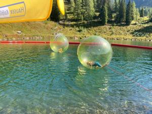 Photo de la galerie de l'établissement Chalet Alma, à Haus im Ennstal