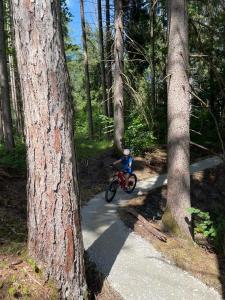 Photo de la galerie de l'établissement Chalet Alma, à Haus im Ennstal