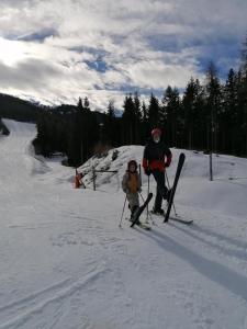 Photo de la galerie de l'établissement Chalet Alma, à Haus im Ennstal