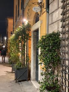 a building with potted plants on a street at night at Palazzo Lari Luxury Accommodation in Sarzana