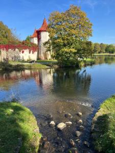 ミュンヘンにあるPrivatzimmer 15 qm mit Gemeinschaftsbadの教会と木と建物のある湖