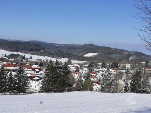 a group of houses on a snowy hill with trees at Ferienwohnung Am Wald in Catterfeld