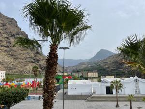 a palm tree in a courtyard with mountains in the background at Edificio Oriòn, Apartamento E11 in Tazacorte