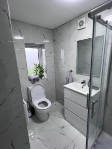 a bathroom with a toilet and a sink and a mirror at Luxury 2-Bed Apartment Lindley Huddersfield in Huddersfield