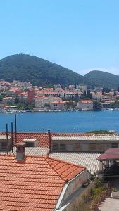 Blick auf die Stadt und einen Wasserkörper in der Unterkunft Apartment Sara in Dubrovnik