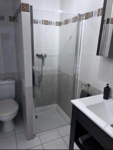 a bathroom with a shower and a toilet and a sink at Gîte La vue étoilée in Curbans