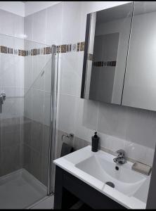 a bathroom with a sink and a shower and a mirror at Gîte La vue étoilée in Curbans