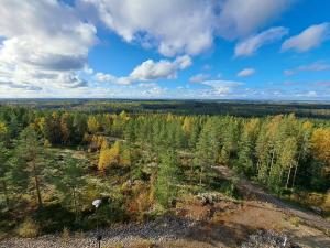 an overhead view of a forest in the fall at Aparthotel Simpsiönkullas in Lapua