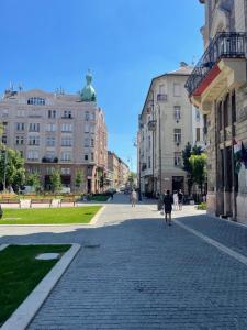 a cobblestone street in a city with buildings at Ráday Residence at the Heart of Budapest in Budapest