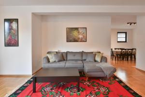 a living room with a couch and a red rug at Belvedere Bjelasnica in Bjelašnica