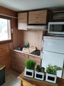ラ・フーにあるAppartement 8 couchages 45 m2 tout confort à la foux d'allosのキッチン(白い冷蔵庫、一部の植物付)