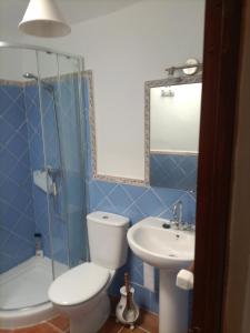 La salle de bains bleue est pourvue de toilettes et d'un lavabo. dans l'établissement Apartamento en El Golco, à Golco