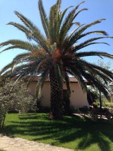 A garden outside Agriturismo S´Aranada