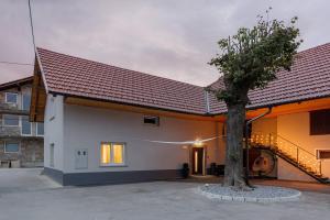 a house with a tree in front of it at Apartments Grahek in Ljubljana