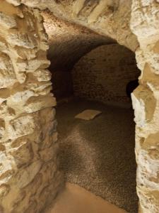 a tunnel in a castle with a stone wall at Cal Vallverdú 2D in Preixana